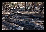 Yosemite_NP_USA_048