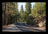 Yosemite_NP_USA_053