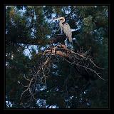 Yosemite_NP_USA_056