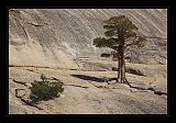 Yosemite_NP_USA_085