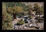 Yosemite_NP_USA_107