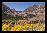 Yosemite_NP_USA_111